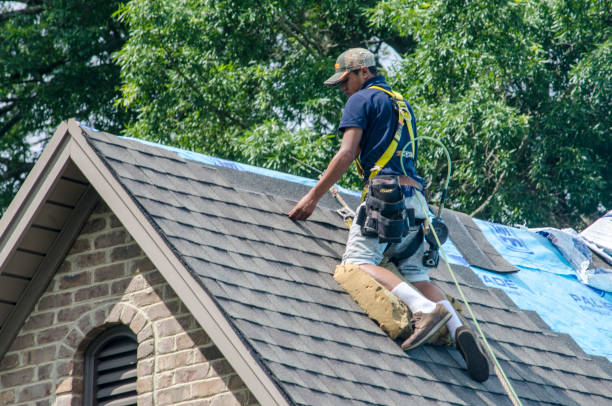 Best Flat Roof Repair Services  in Moline, IL